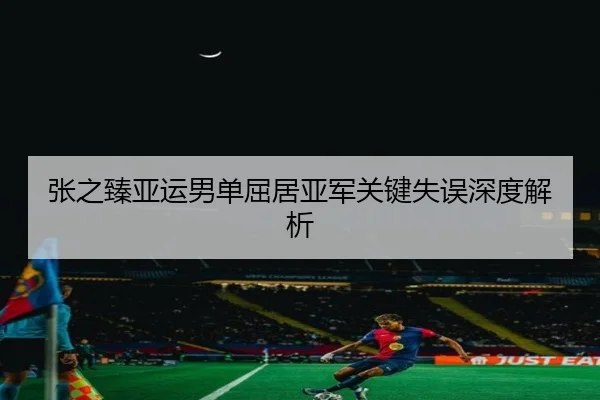 张之臻亚运男单屈居亚军关键失误深度解析 - leyu.com